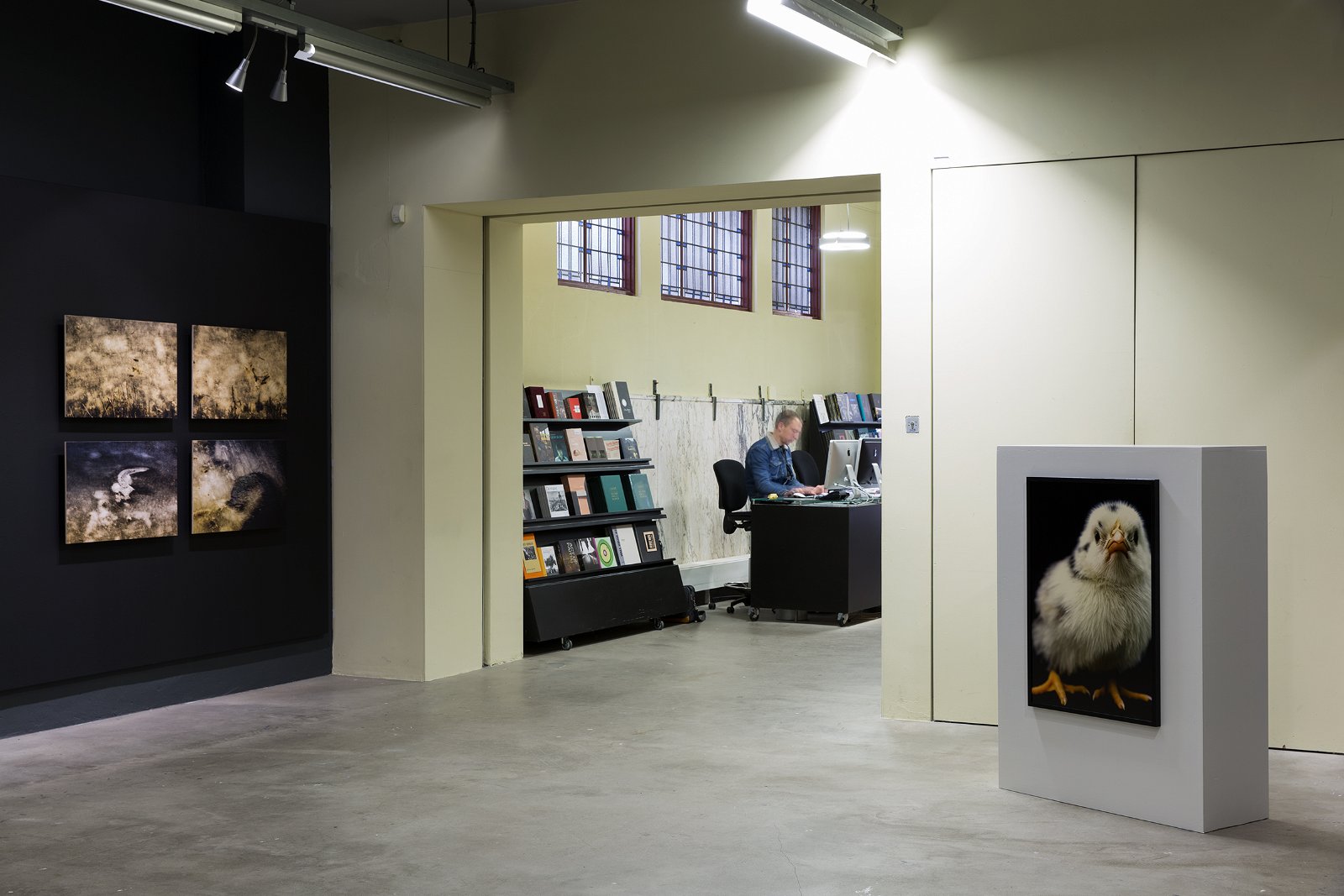 Noorderlicht. Studio | Festival | On Tour