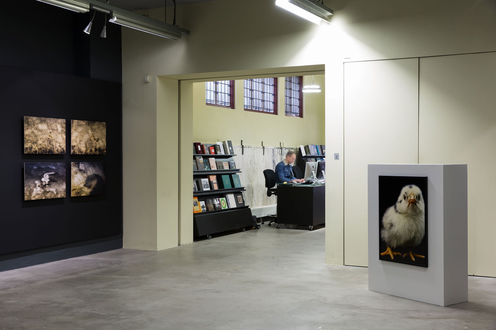 Noorderlicht. Studio | Festival | On Tour