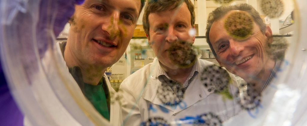 Astrobiology LIVE Space Q&A - ONLINE EVENT