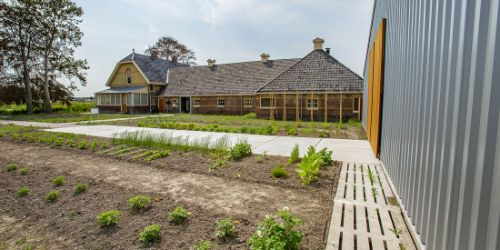 Gurbe en meer - Frits Klein