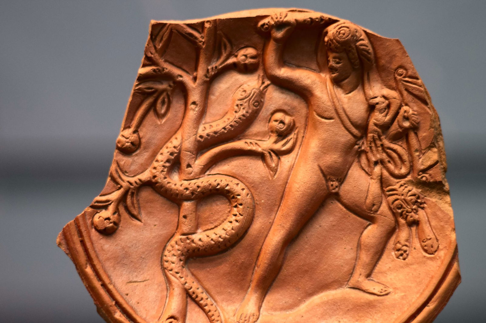 Museum of Antiquities (Antikensammlungen)