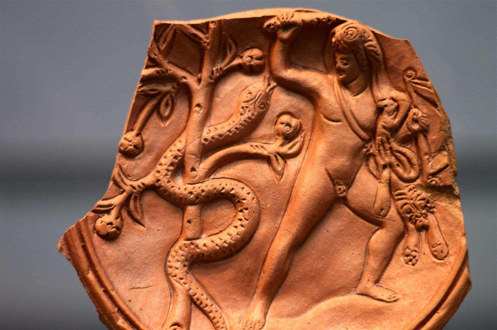 Museum of Antiquities (Antikensammlungen)