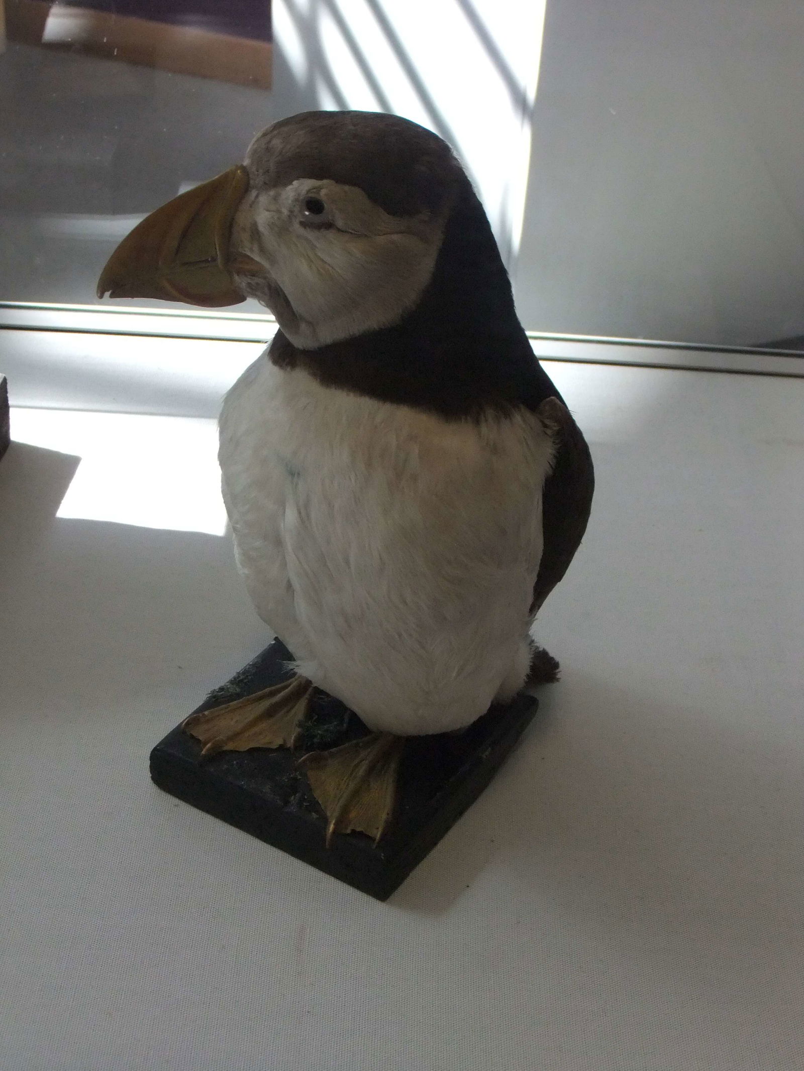 Ludlow Library and Museum Resource Centre