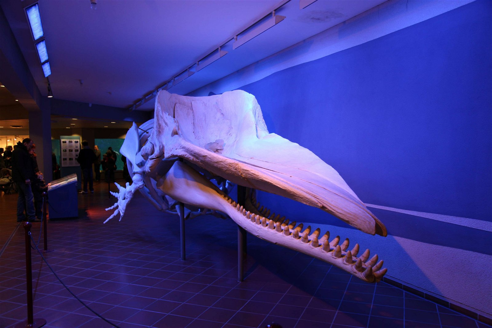 Aquazoo – Löbbecke-Museum Düsseldorf