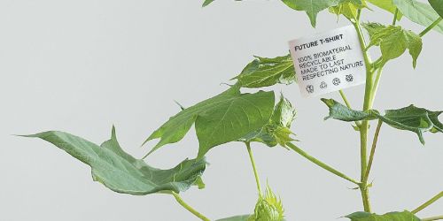 FASHION FOR GOOD'S NIEUWE TENTOONSTELLING ‘GROW 1.0’ SHOWT DE TOEKOMST VAN MODEMATERIALEN