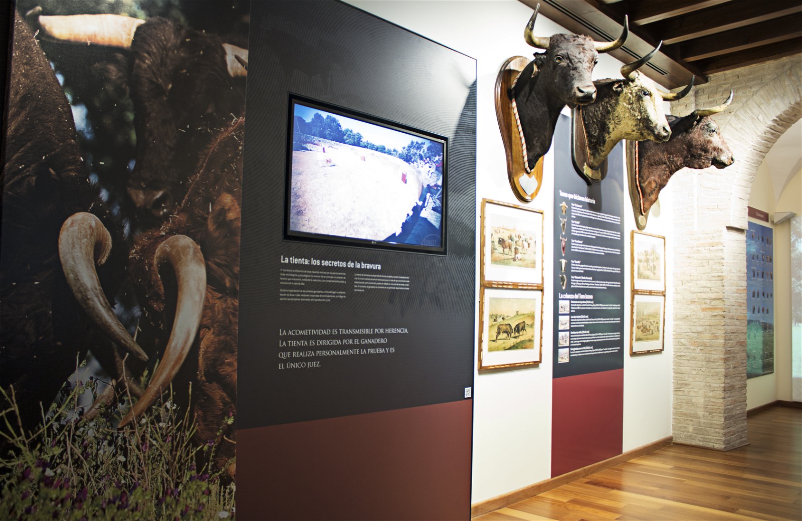 Cordoba Bullfighting Museum