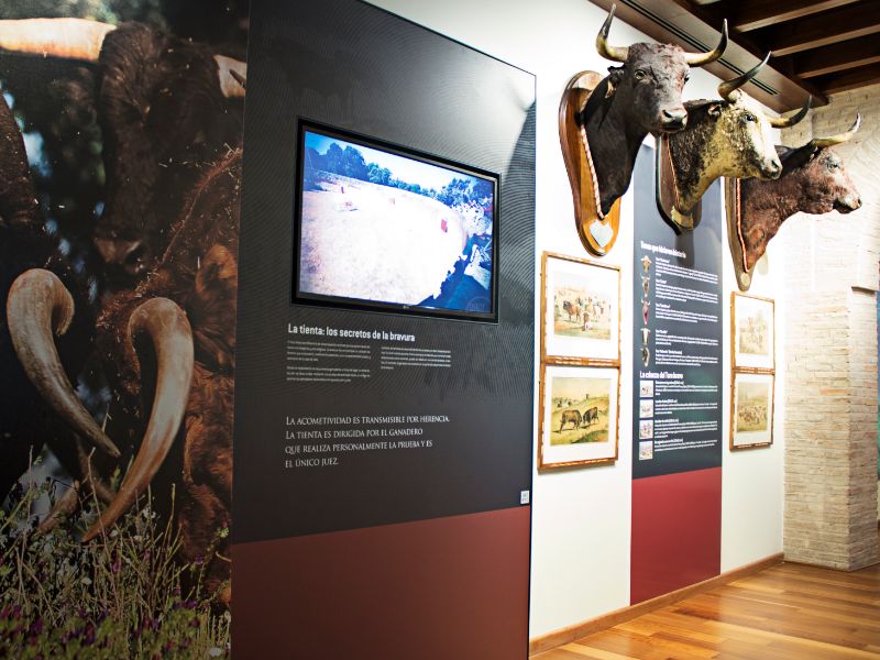Cordoba Bullfighting Museum