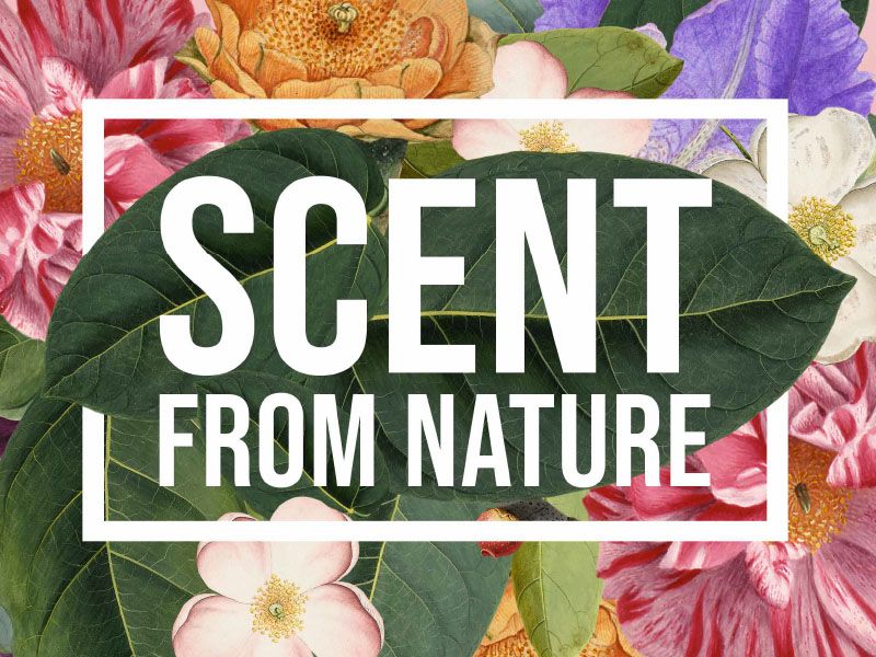 Scent from Nature