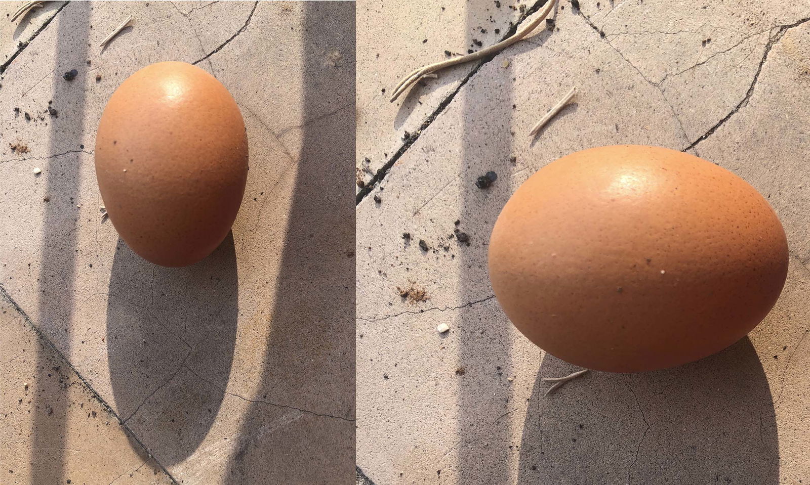 June Crespo - Am I an Object, part III