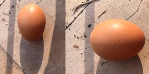 June Crespo - Am I an Object, part III