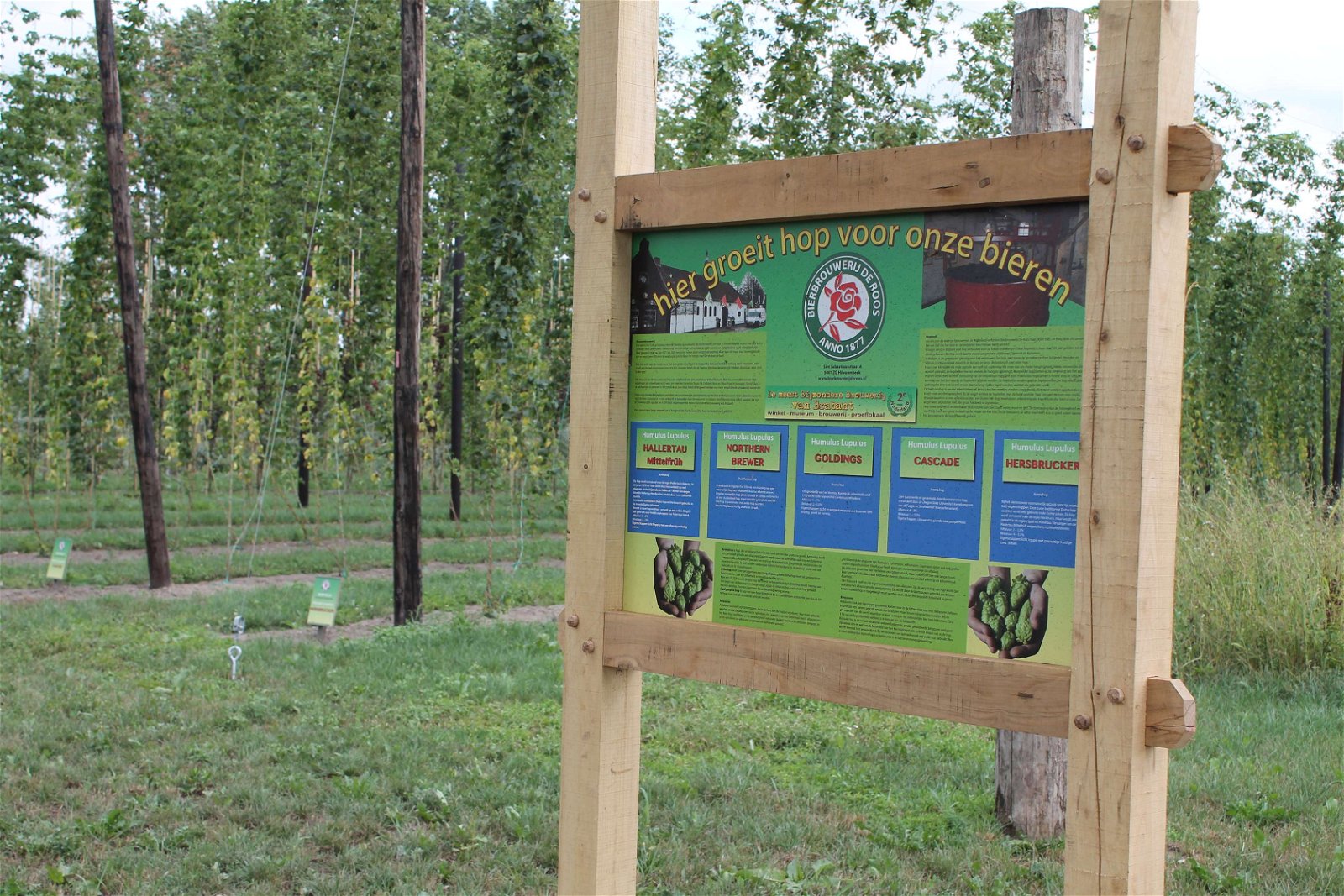 Bierbrouwerij De Roos