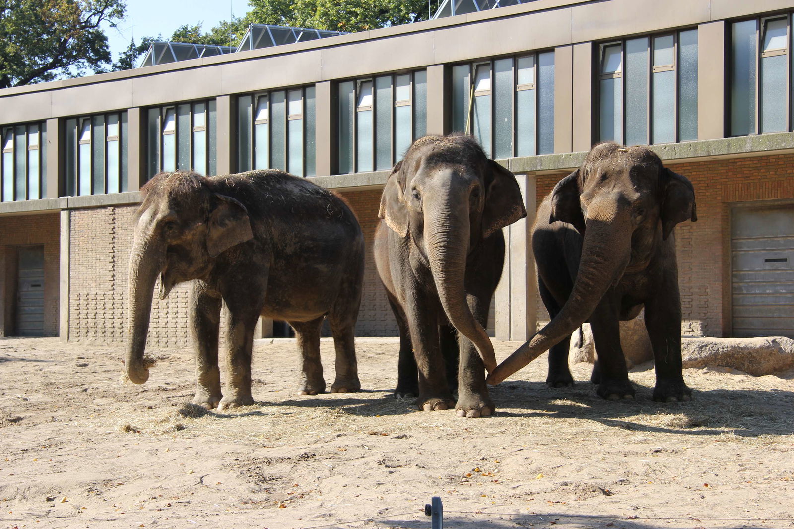 Zoologischer Garten Berlin