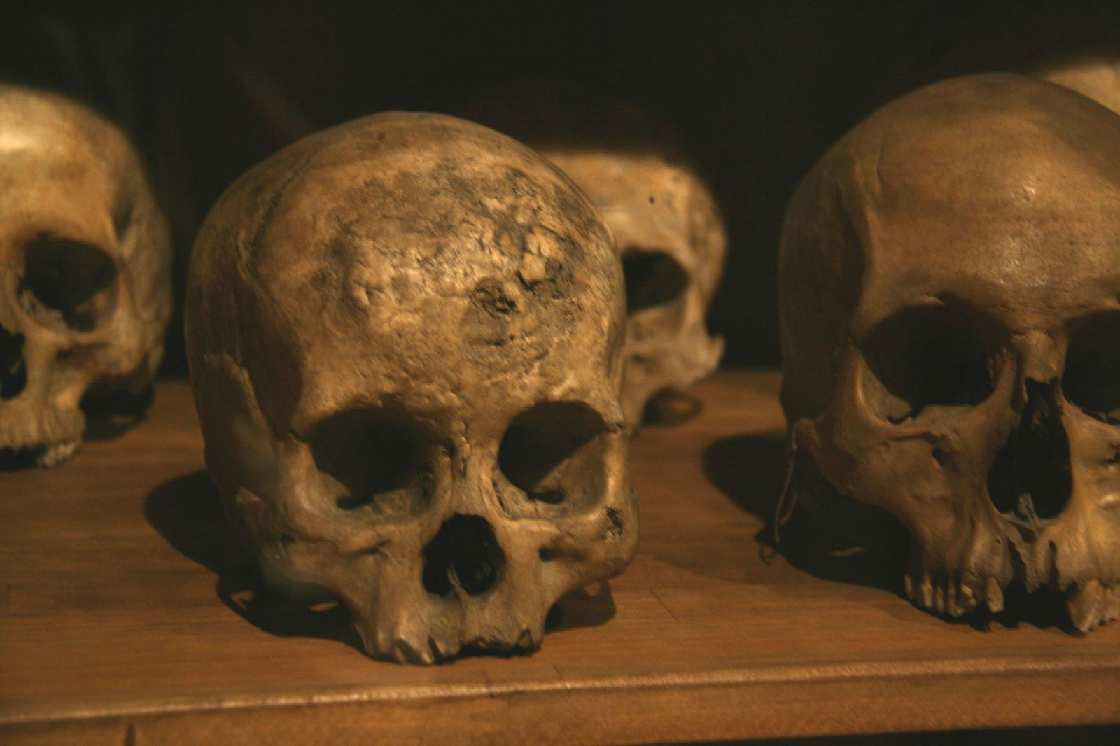 Museo Nacional de Antropología