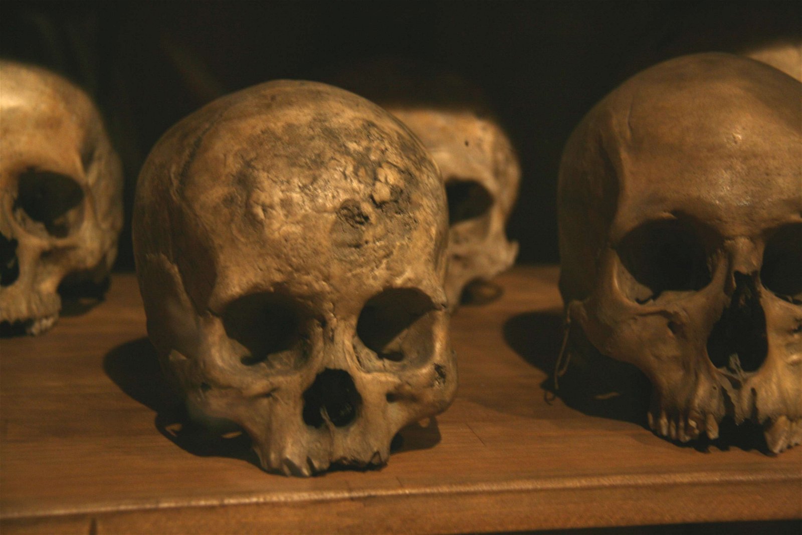 National Museum of Anthropology