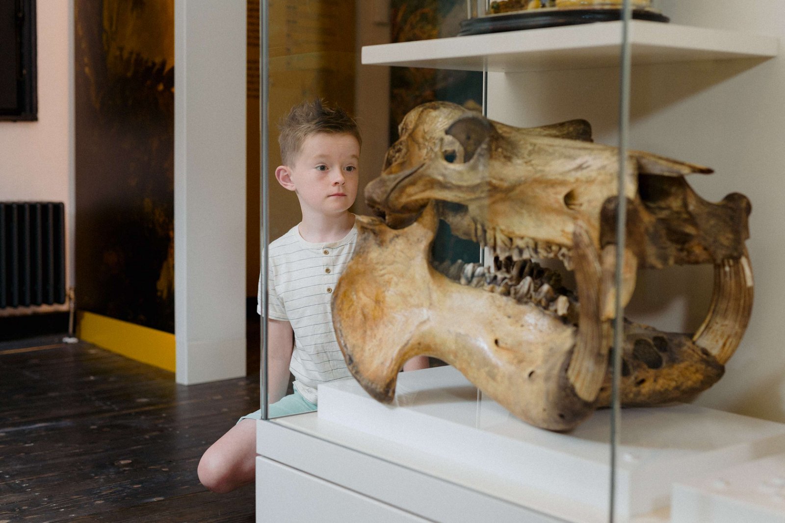 David Livingstone Birthplace