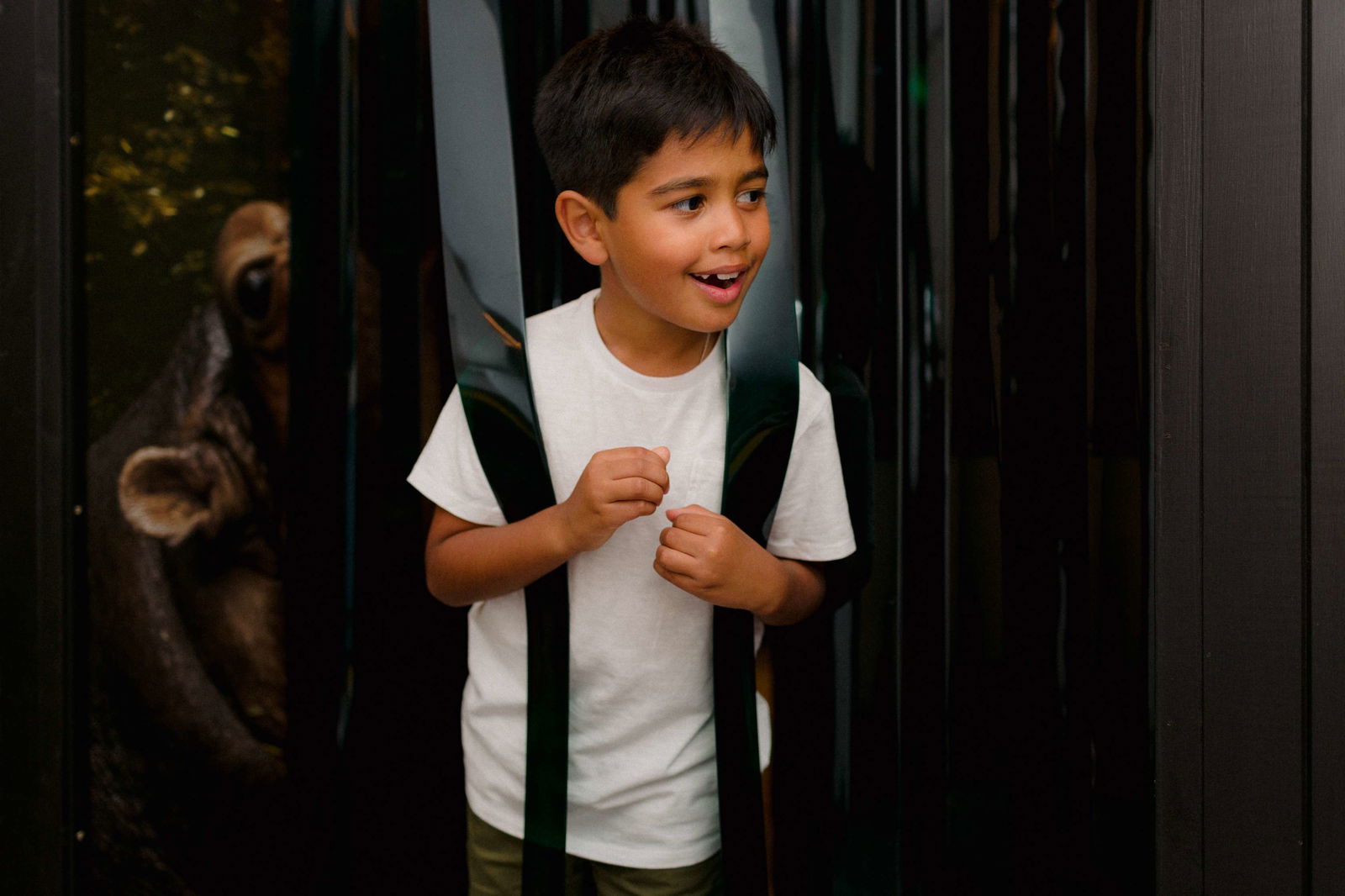 David Livingstone Centre