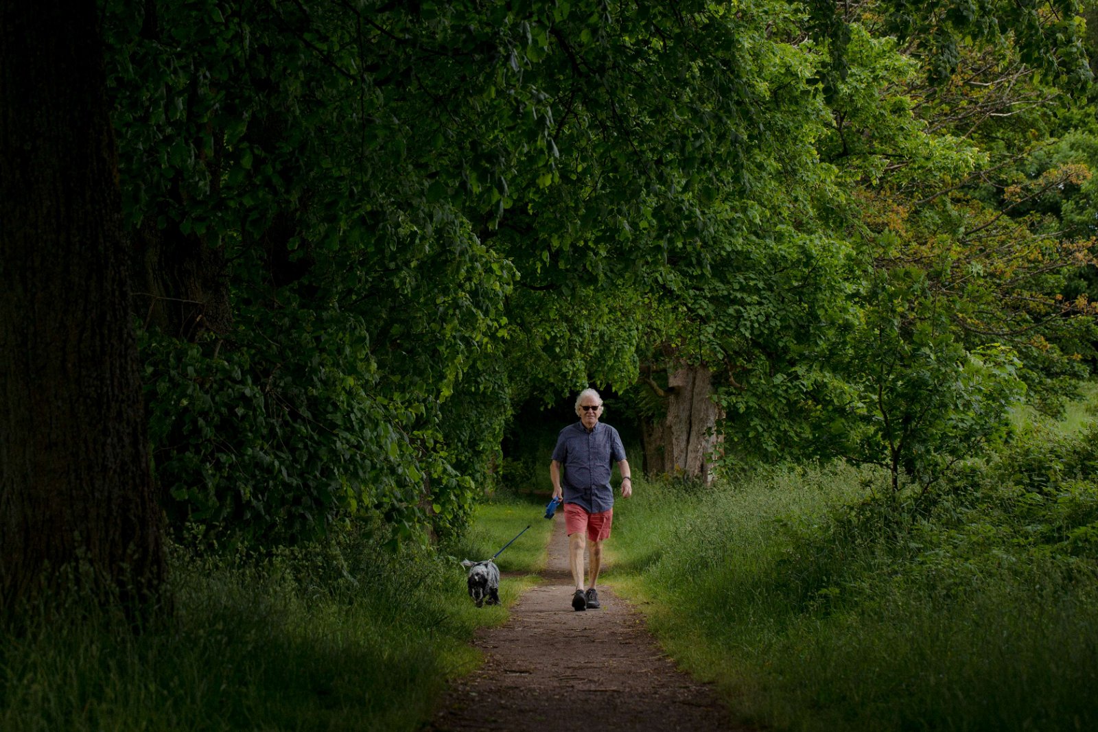 David Livingstone Birthplace
