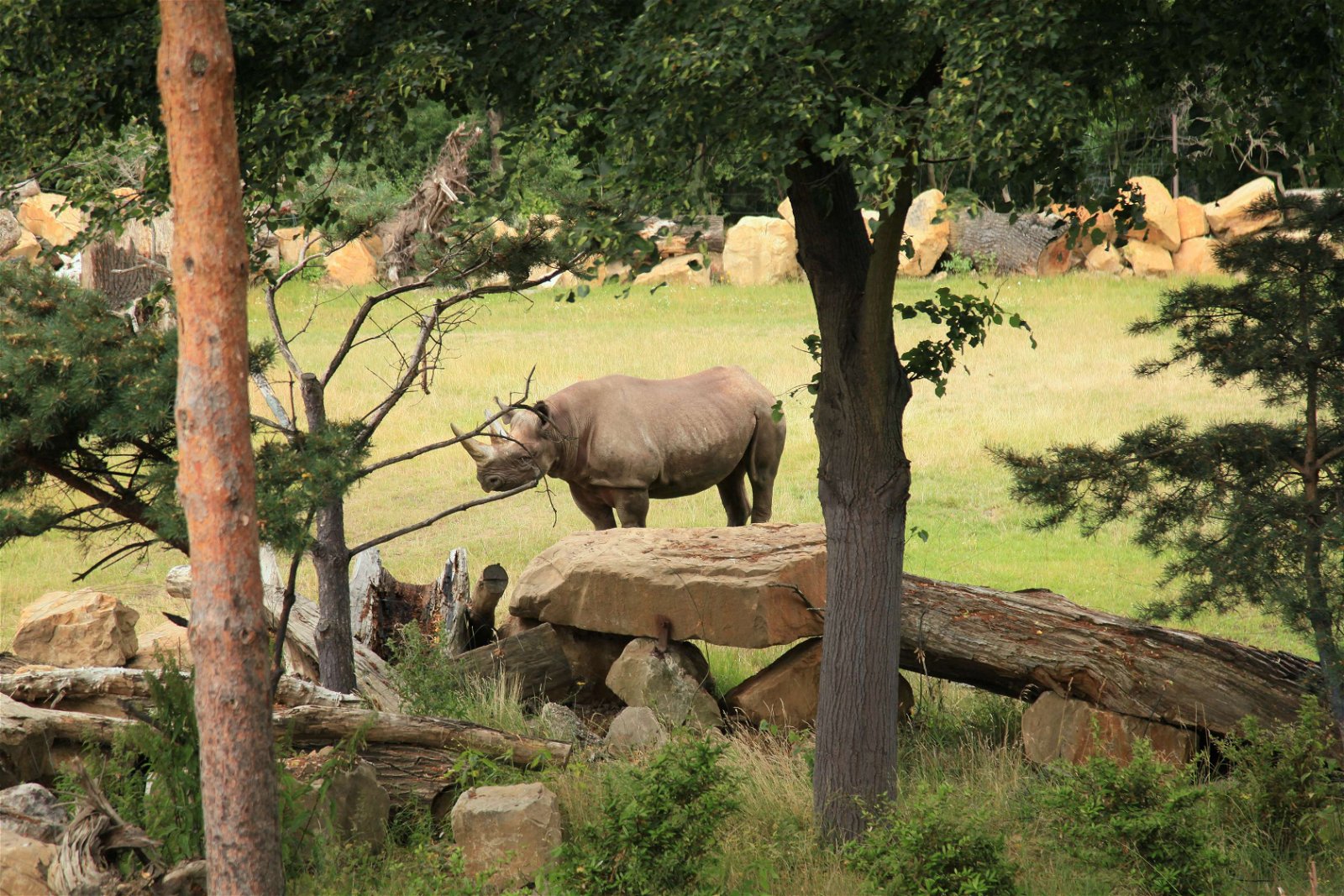 Leipzig Zoo