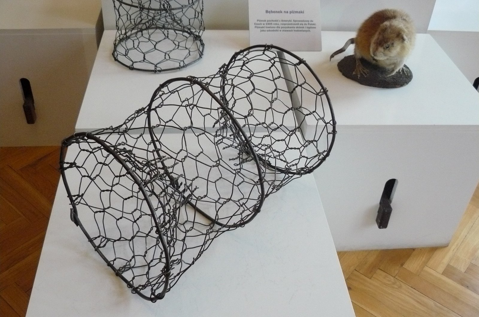 Museum of Natural Environment and Hunting