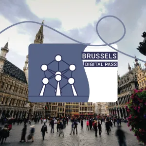 Brussels Pass