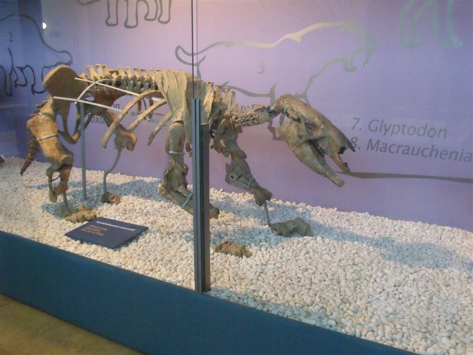 Museo de Ciencias Naturales