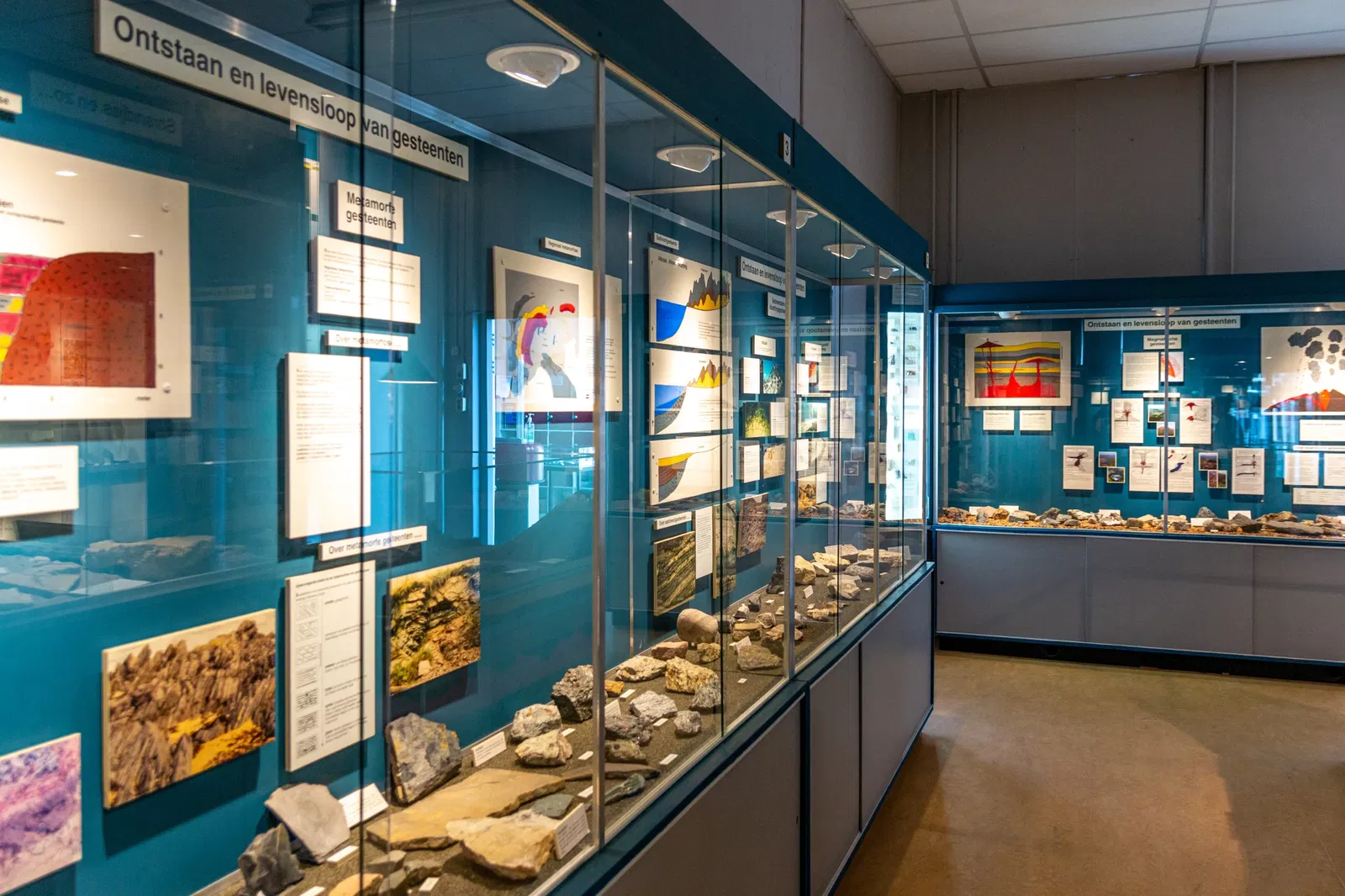 Natuurhistorisch en Volkenkundig Museum Oudenbosch
