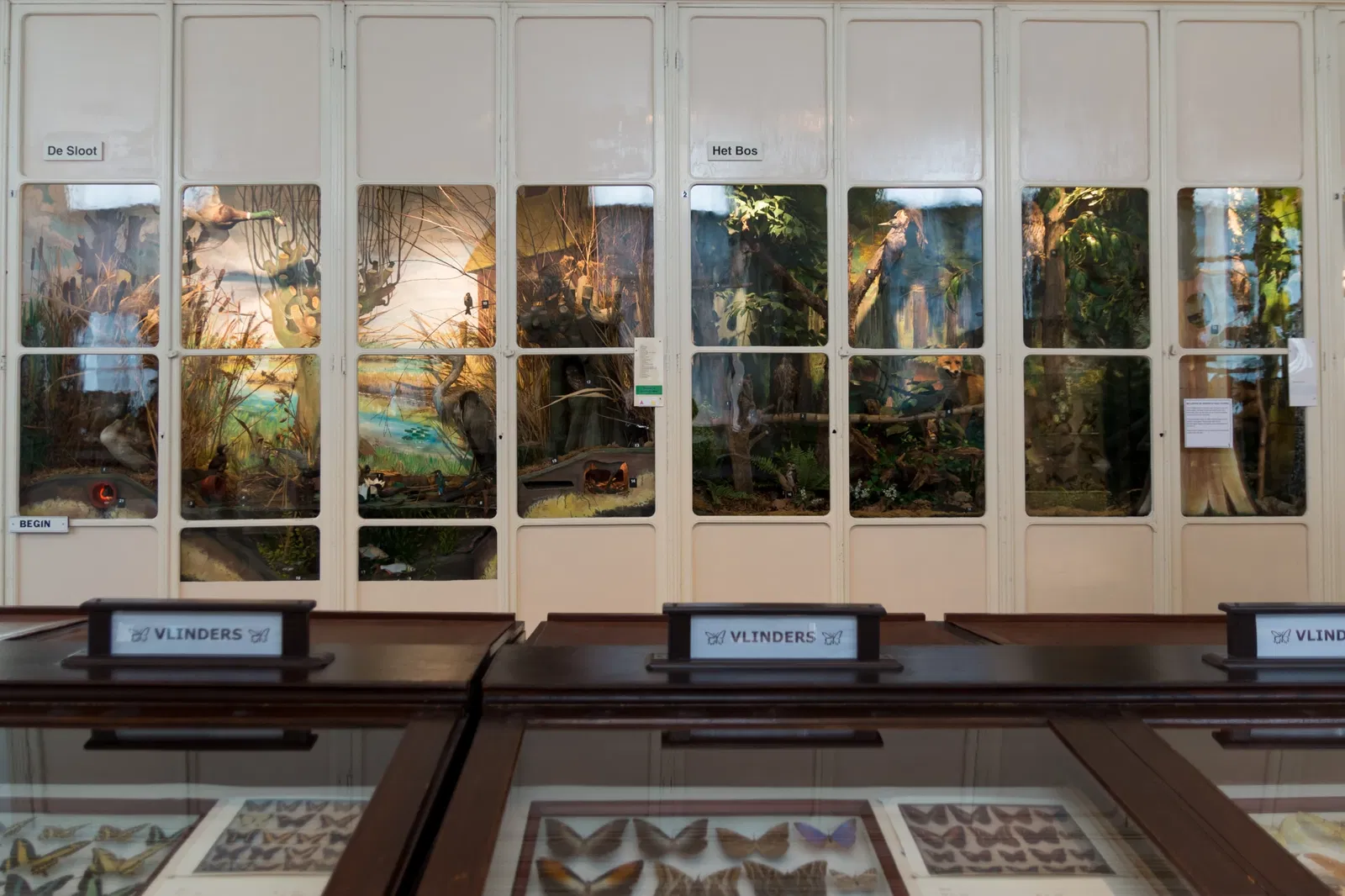 Natuurhistorisch en Volkenkundig Museum Oudenbosch