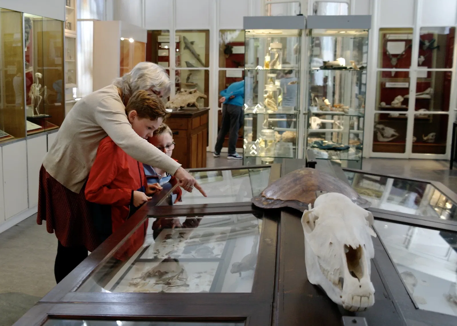 Natuurhistorisch en Volkenkundig Museum Oudenbosch