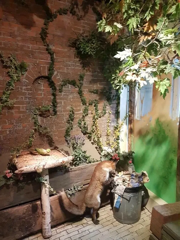 Natuurmuseum E. Heimans