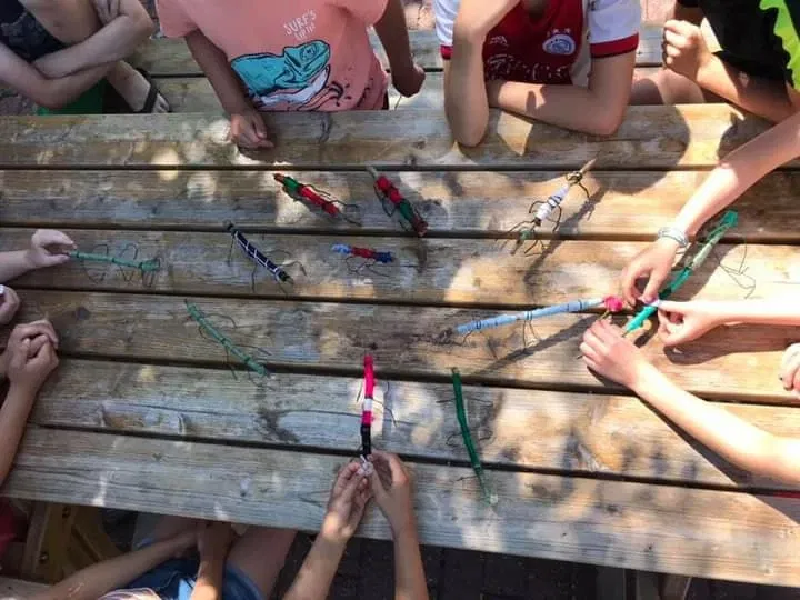 Natuurmuseum E. Heimans