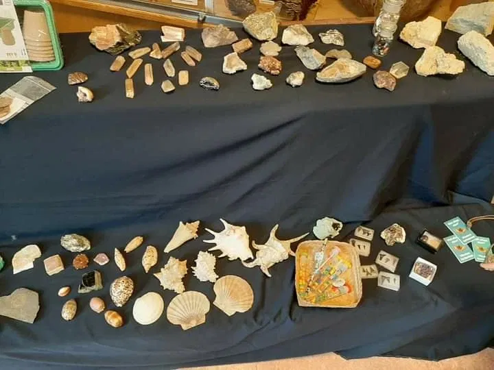 Natuurmuseum E. Heimans