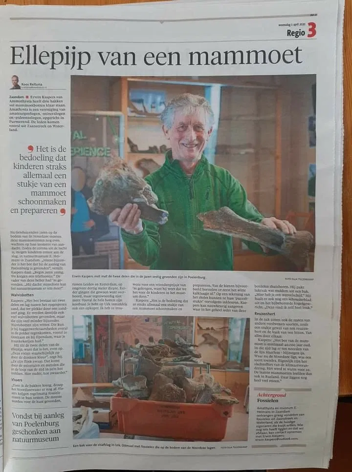 Natuurmuseum E. Heimans