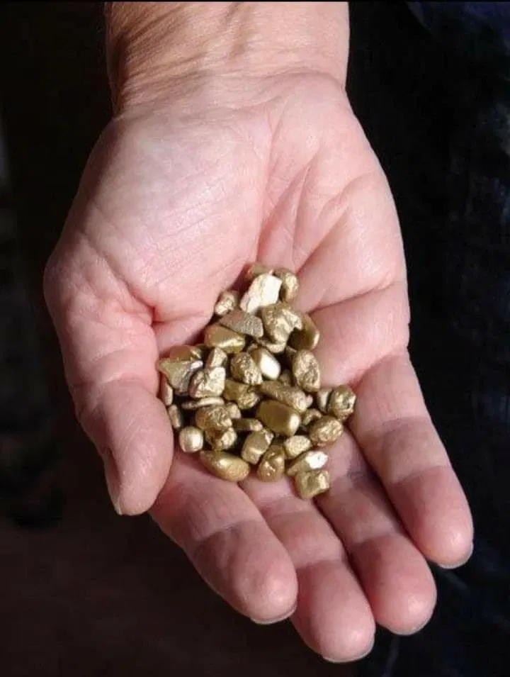 Natuurmuseum E. Heimans