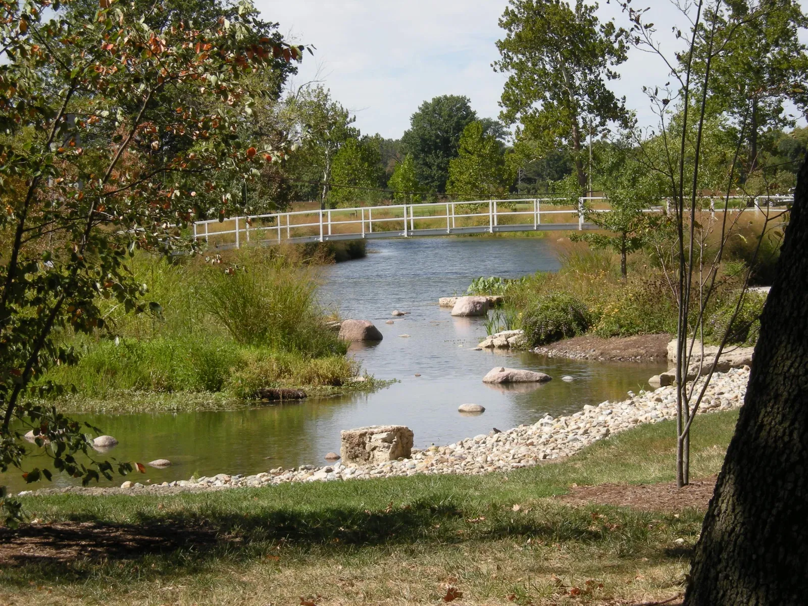 Forest Park (San Luis)