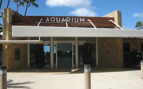 Acuario de Waikiki