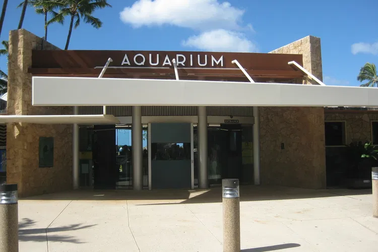 Acuario de Waikiki