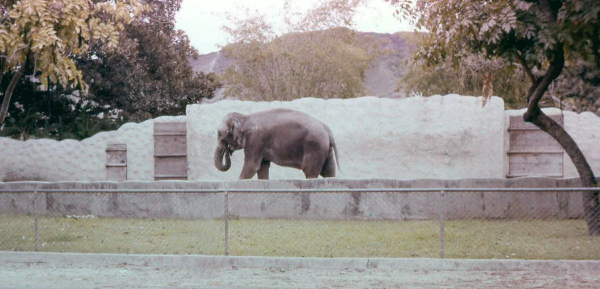 Honolulu Zoo
