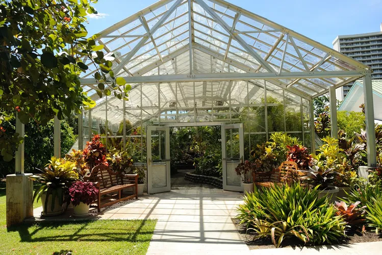 Jardín botánico Foster