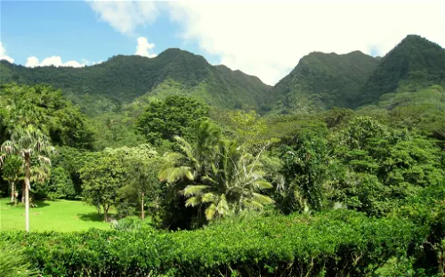 Lyon Arboretum and Botanical Garden