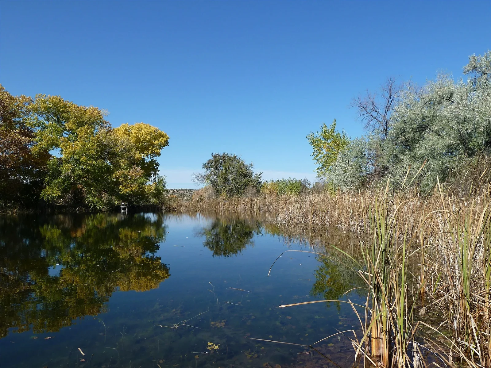 Santa Fe Botanical Garden