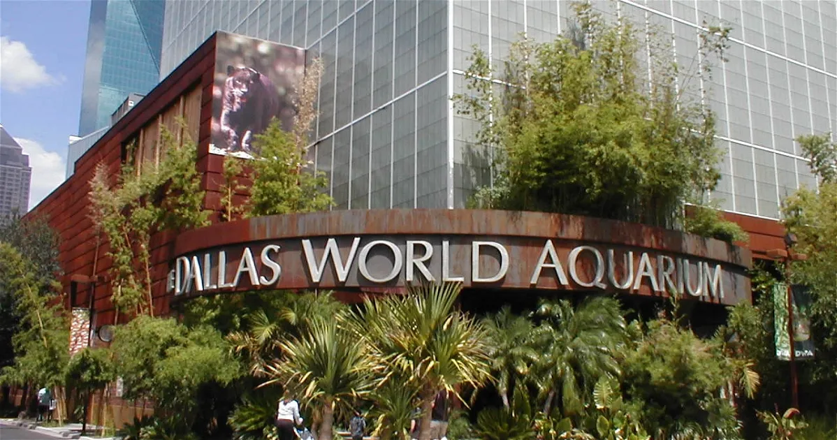 Tickets, Prices & Discounts - Dallas World Aquarium (Dallas)