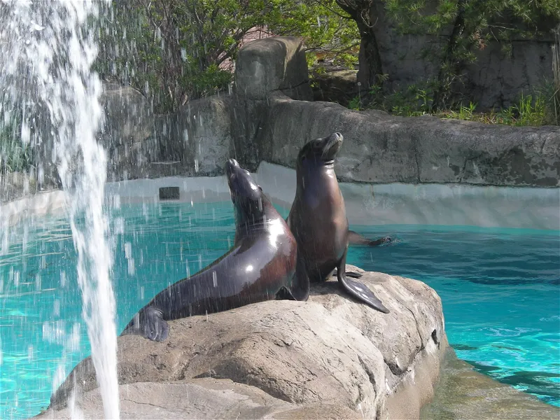 Pittsburgh Zoo & Ppg Aquarium