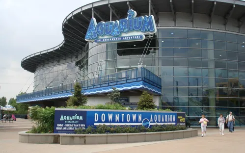 Acuario del Downtown