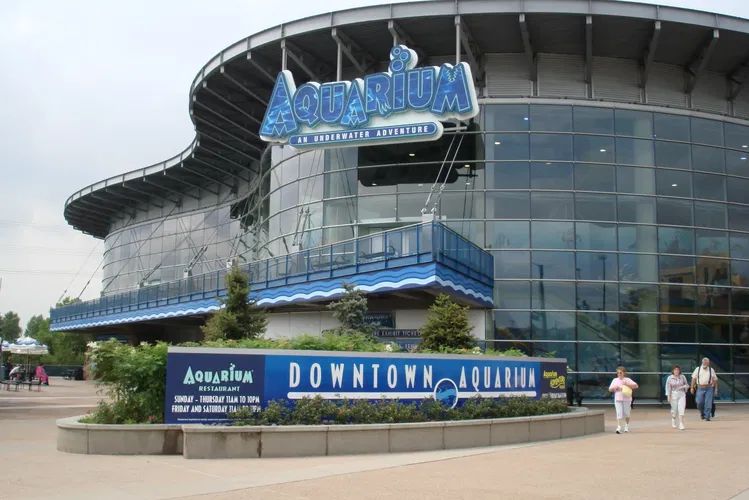 Acuario del Downtown