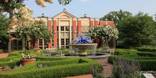 The Art of Bloom: a dk Gallery Exhibition