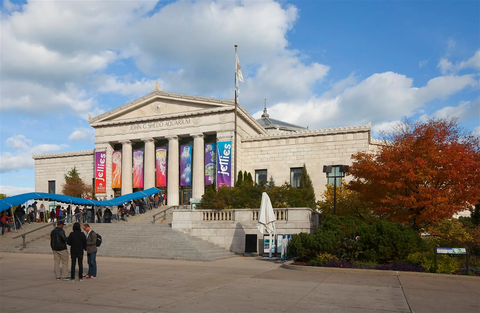 Tickets, Prices & Discounts Shedd Aquarium (Chicago)