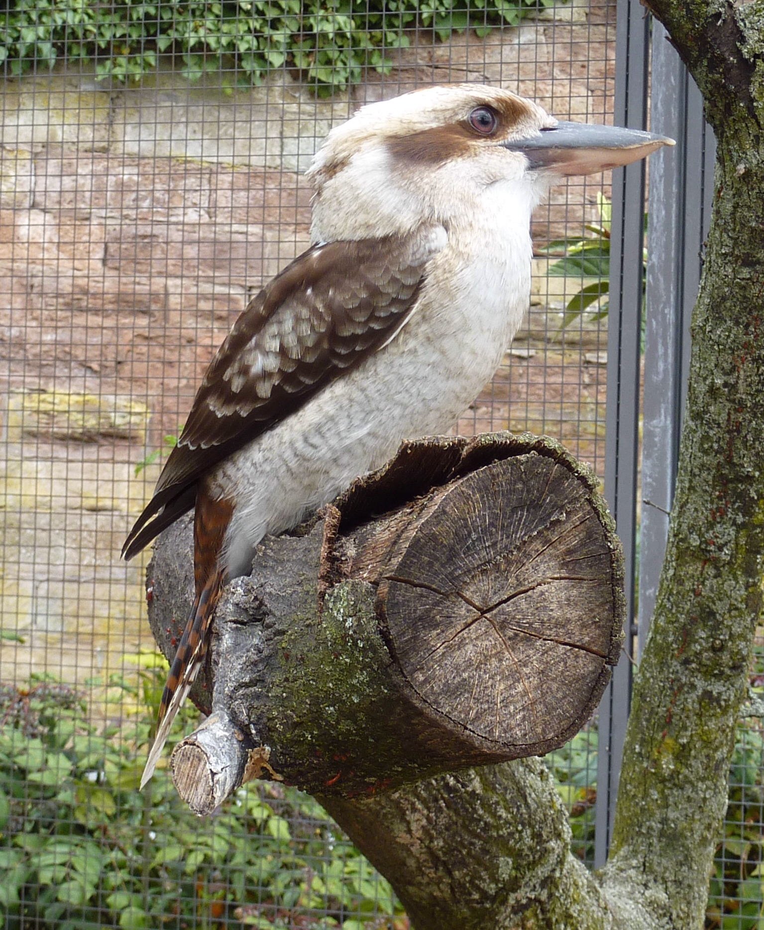 Wilhelma Zoologisch-Botanischer Garten
