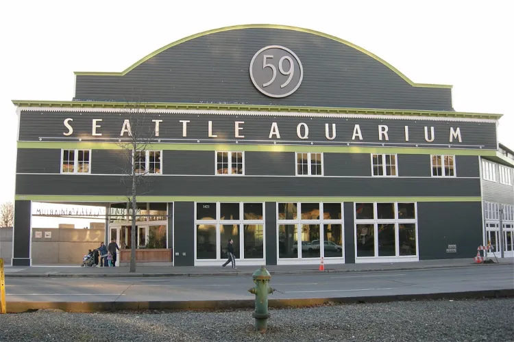 Excursie Vermoorden voorspelling Tickets, Prijzen & Korting - Seattle Aquarium (Seattle)
