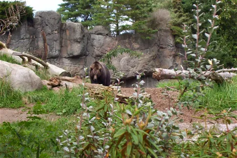 Woodland Park Zoo