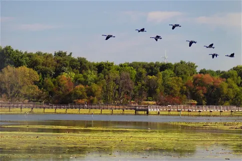 John Heinz National Wildlife Refuge at Tinicum